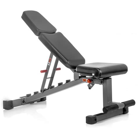 OPPSDECOR 6 in 1 600lbs Weight Bench Set with Squat Rack, Bench Press Set with Barbell Rack, Adjustable Incline Strength Training Workout Bench with Leg Developer Preacher Curl for Home Gym PXZXYX1. 586. 100+ bought in past month. $29999. List: $314.99. Join Prime to buy this item at $249.99. FREE delivery Feb 22 - 23. 